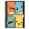 Quaderno sotto copertura con 3 schede pokemon