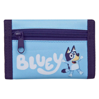 Portafoglio blu