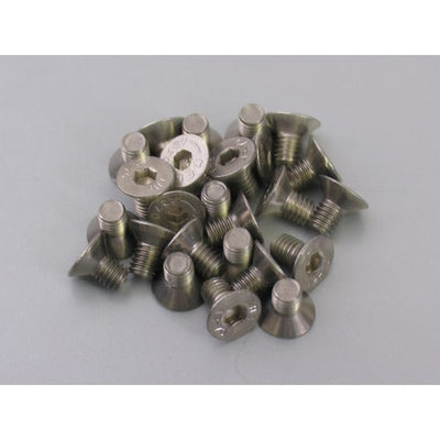 Bofix Allenbout M6X10 Acero inoxidable con cabeza hundida (25 piezas)