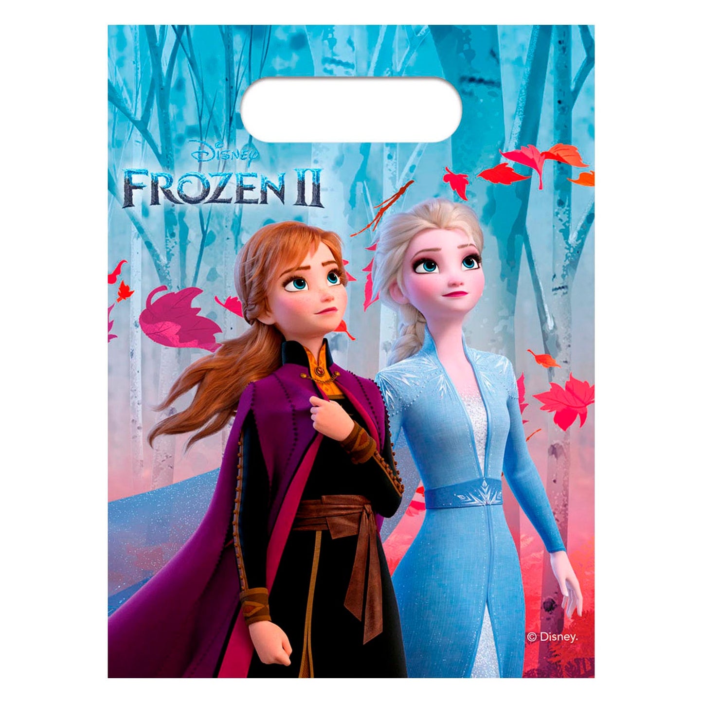 Disney Frozen 2 Division Borse, 6st.