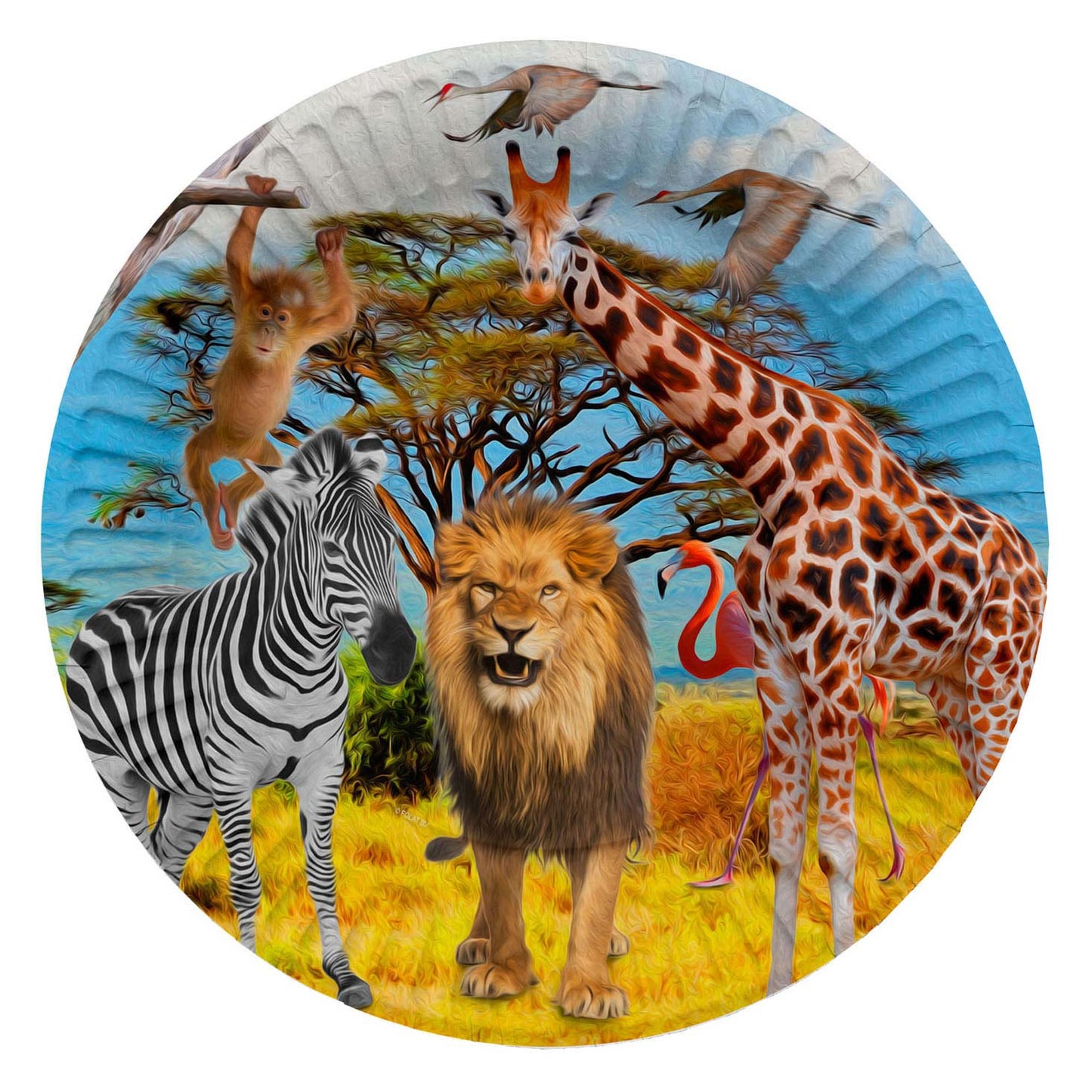 Folat bv safari borden, 8st.