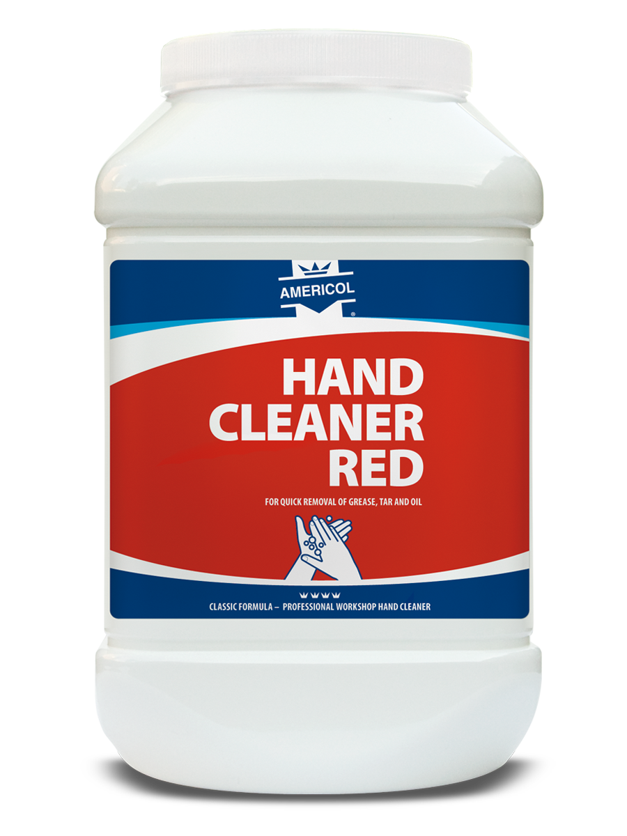 America Cleaner a mano 4,5 litri