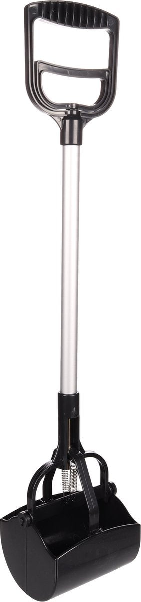 Fenicottero