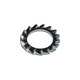Bofix Rondella elastica seghettata M5 zincata. per 250