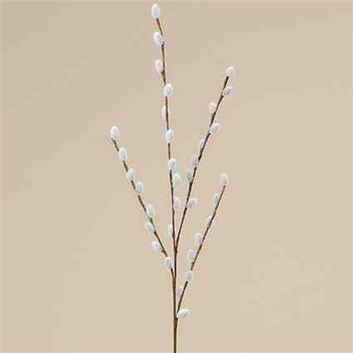 Boltze home decoratieve tak wilgenkatjes 75cm