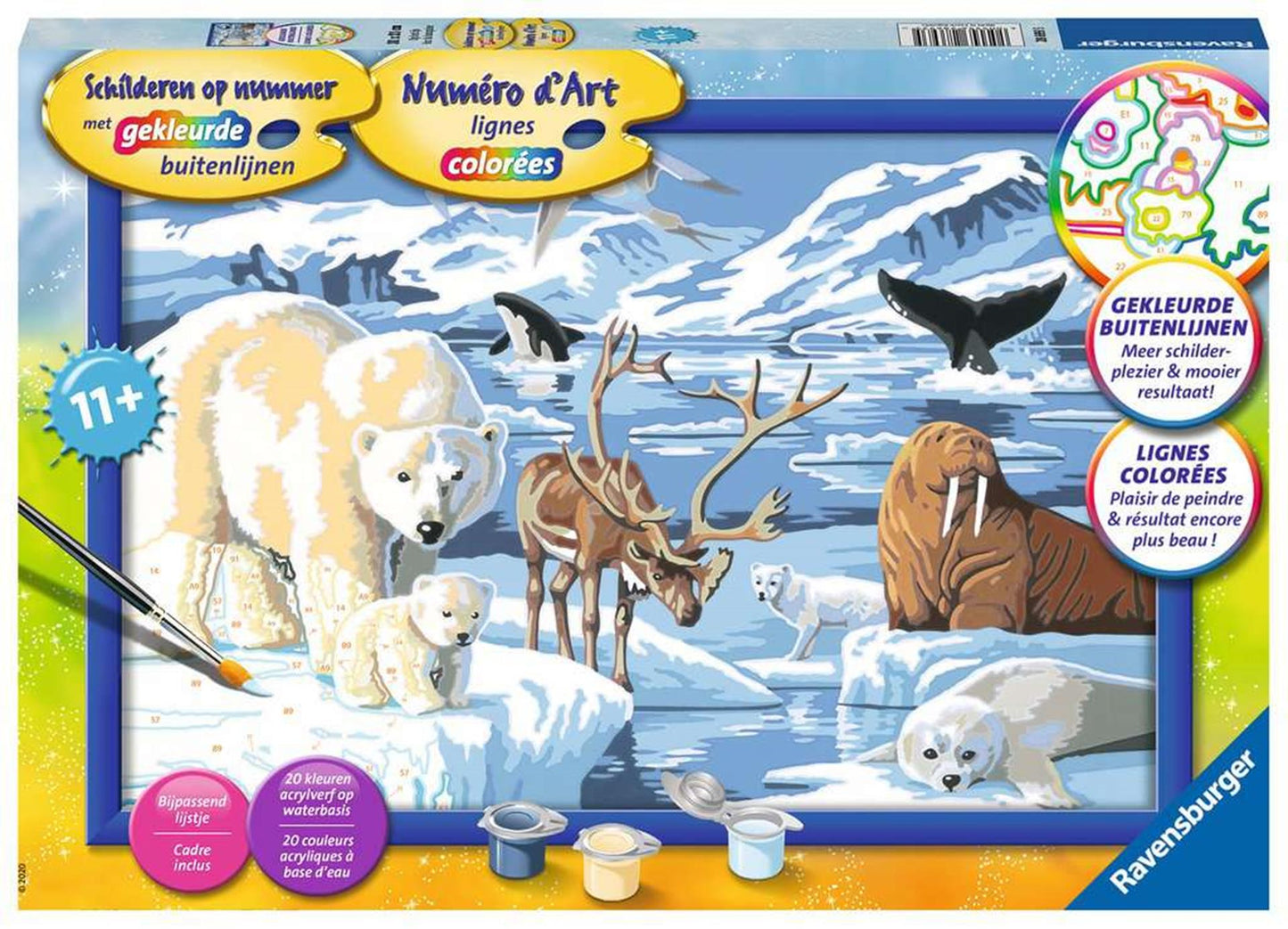 Ravensburger Dipinge con i numeri sul ghiaccio