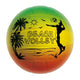 Beach volley Mondo arcobaleno - 22 cm