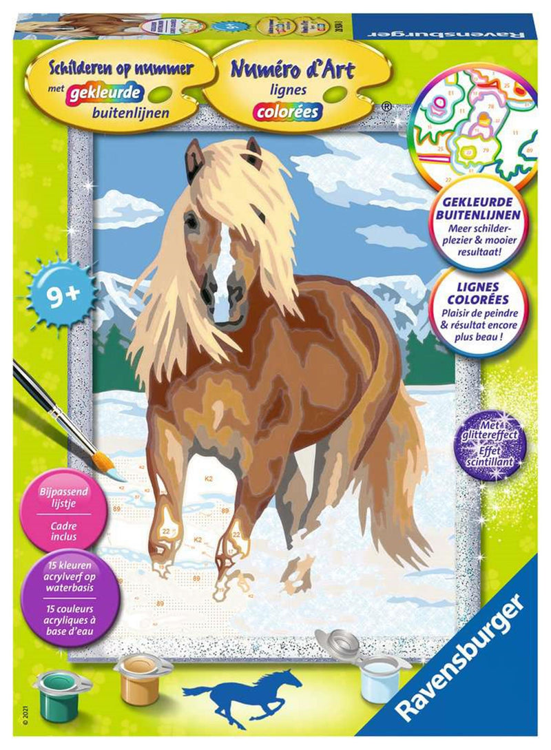Pittura su numero - Cavallo nella neve