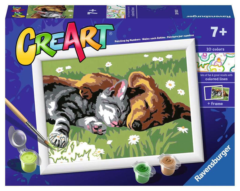 Ravensburger Pintura Ciora en número Cats y perros durmiendo