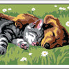 Ravensburger Pintura Ciora en número Cats y perros durmiendo