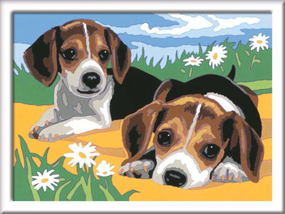 Ravensburger Pintura Ciora en número Beagle Puppies
