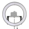 Lampada ad anello a LED a letto a led Falcon Eyes DVR-512DVC su 230V