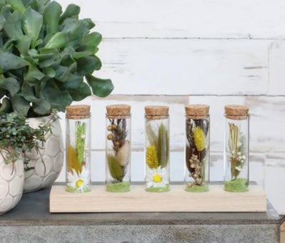 Ideas 4 seasons wooden holder with 5 test tubes with cork stopper ã˜3x10cm