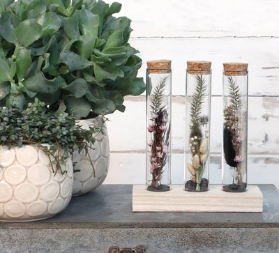 Ideas 4 seasons wooden holder with 3 test tubes with cork stopper ã˜3x15cm