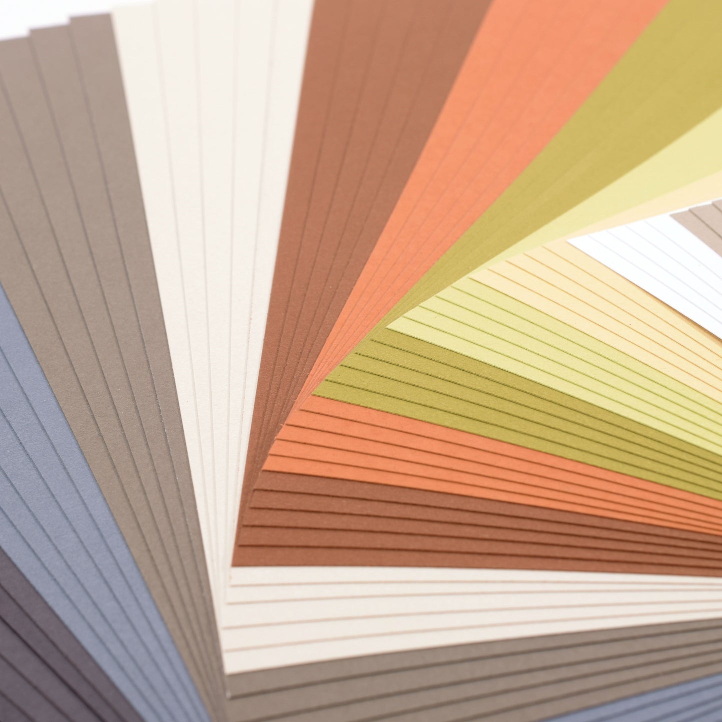 Florencia • papel cartulina 216g liso 11,4x30,5cm tonos tierra 60x