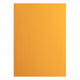 Florence • cardstock papier 216g glad a4 grapefruit 10x