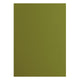 Florence • cardstock papier 216g glad a4 olive 10x