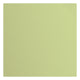 Florence • cardstock papier 216g textuur 30,5x30,5cm anise 20x