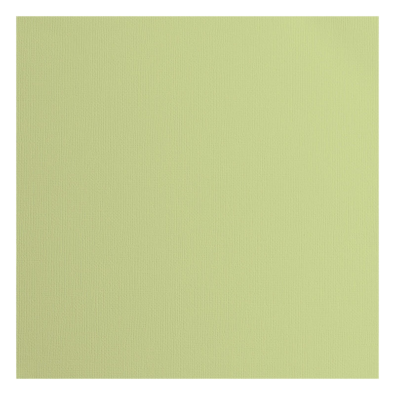 Firenze • cartoncino 216g trama 30,5x30,5 cm anice 20x