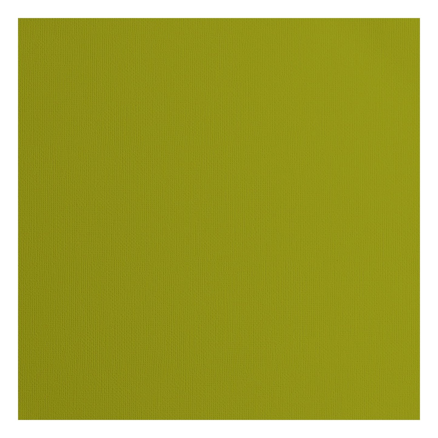 Florencia • papel cartulina 216g textura 30,5x30,5cm helecho 20x