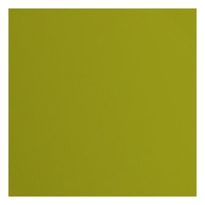 Firenze • cartoncino 216g trama 30,5x30,5 cm felce 20x