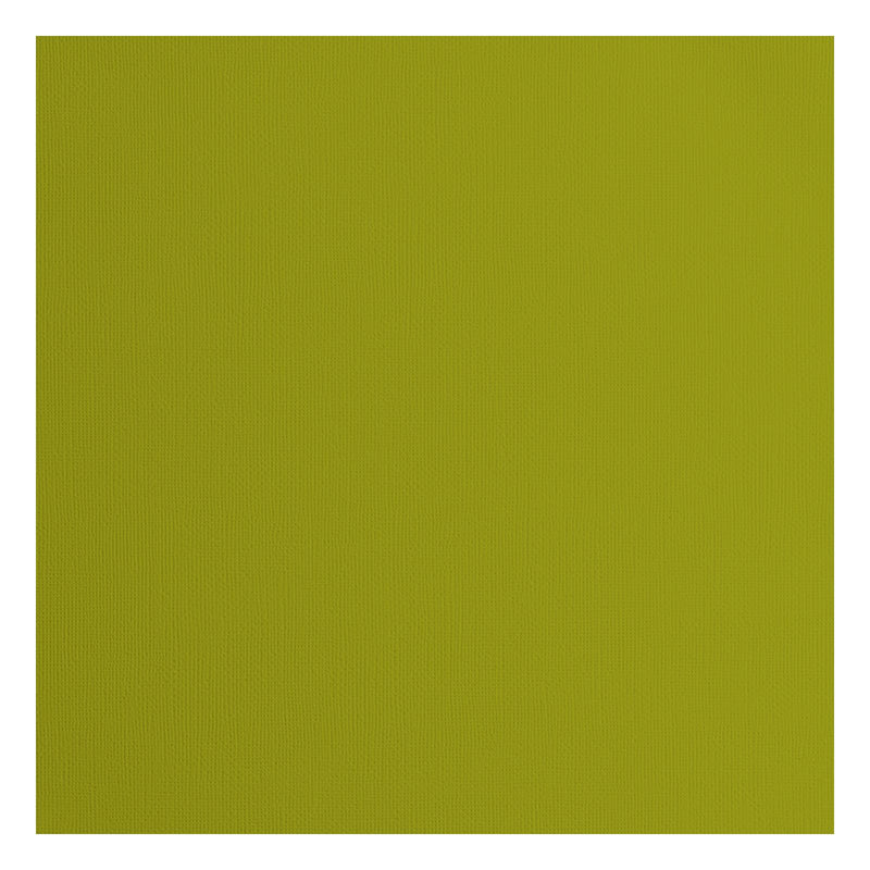 Firenze • cartoncino 216g trama 30,5x30,5 cm felce 20x