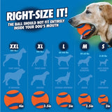 Chuckit! ultra ball - hondenbal - rubber - drijvend - maat m - 6 cm - oranje - 2 stuks - afbeelding 4