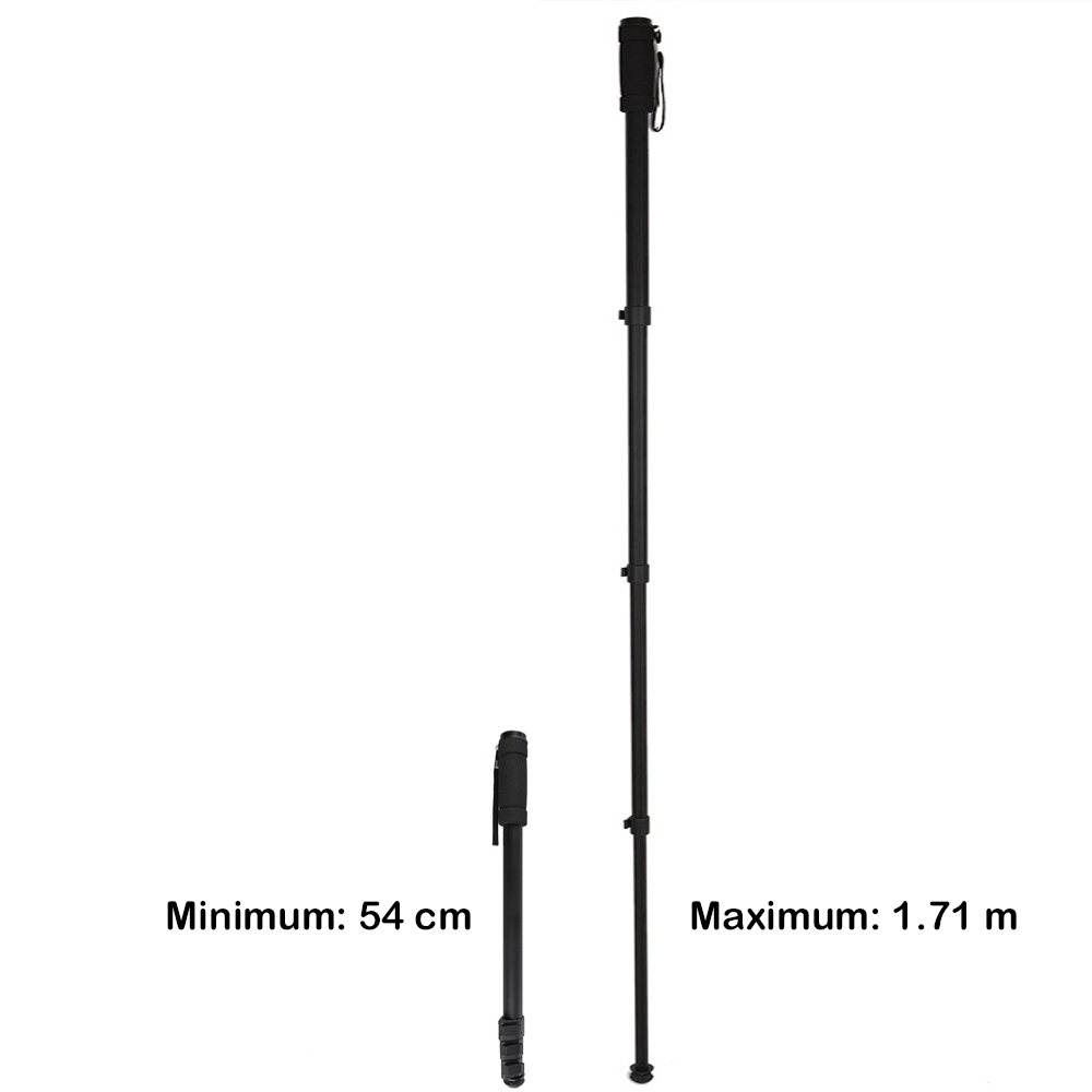 Nest Monopode WT-1003 H171 CM