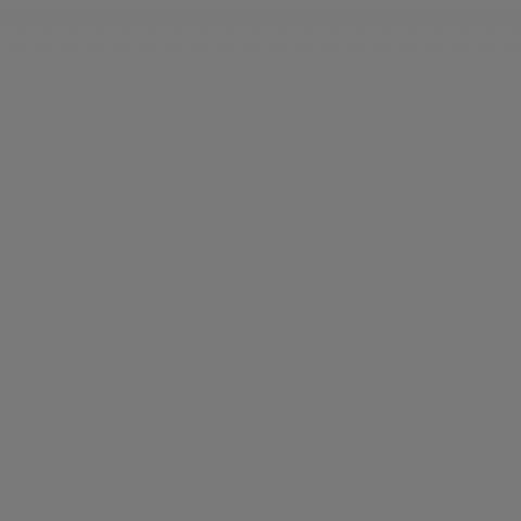Falcon Eyes Background stoffa S010 2.9x7 m Grigio