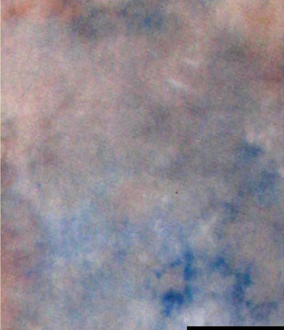 Falcon Eyes Background stoffa S122 2.9x7 m