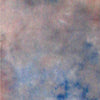 Falcon Eyes Background stoffa S122 2.9x7 m