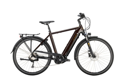 Victoria Electric Trekking Bike Ethecreking 12.8 Mod. 22
