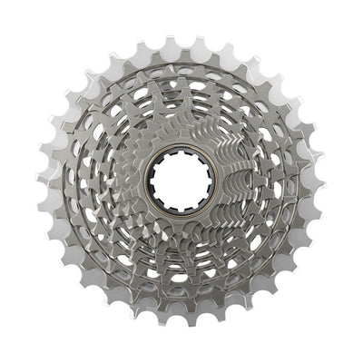 Sram cas.pocket xg-1290 e1 10-30t plata