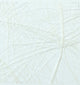 Vaessen creative • sizoweb 5mx30cm in koker wit