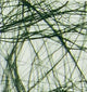 Vaessen creative • sizoweb 5mx30cm in koker donkergroen