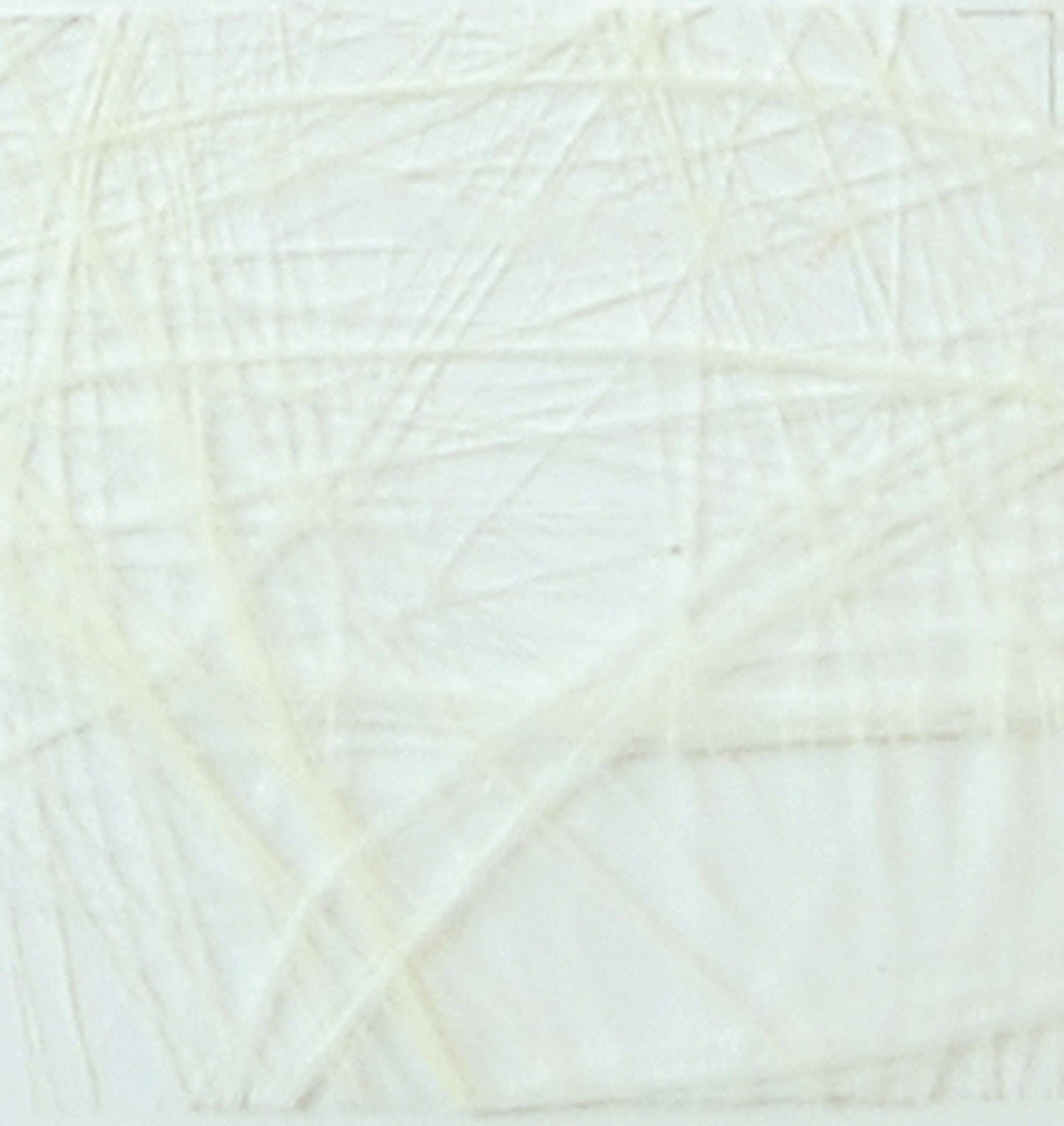 Vaessen creative • sizoweb 5mx30cm en tubo color crema