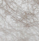 Vaessen creative • sizoweb 5mx30cm in koker taupe