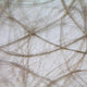 Vaessen creative • sizoweb 5mx30cm in koker beige