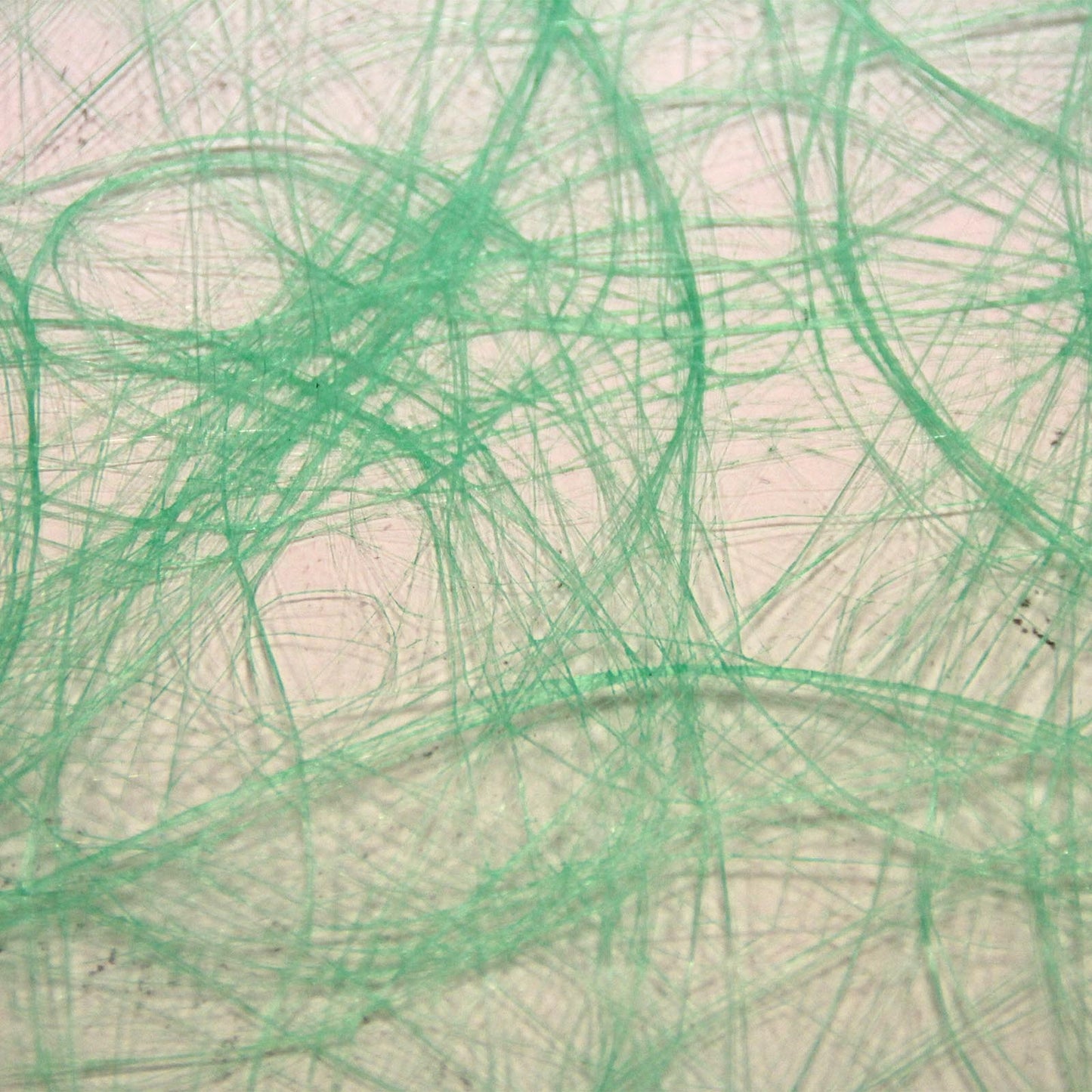 Vaessen creative • sizoweb 5mx30cm en tubo verde neón