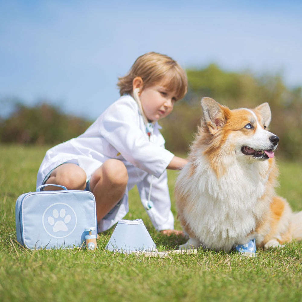 Bigjigs Animal Doctor VIEDA