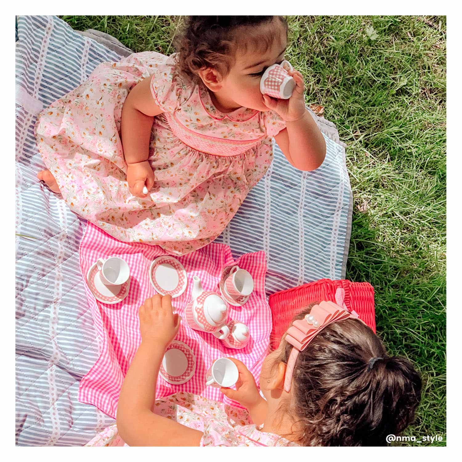 Tidlo Picnickset en Case Pink