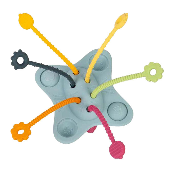 Bigjigs camina y empuje juguetes Montessori