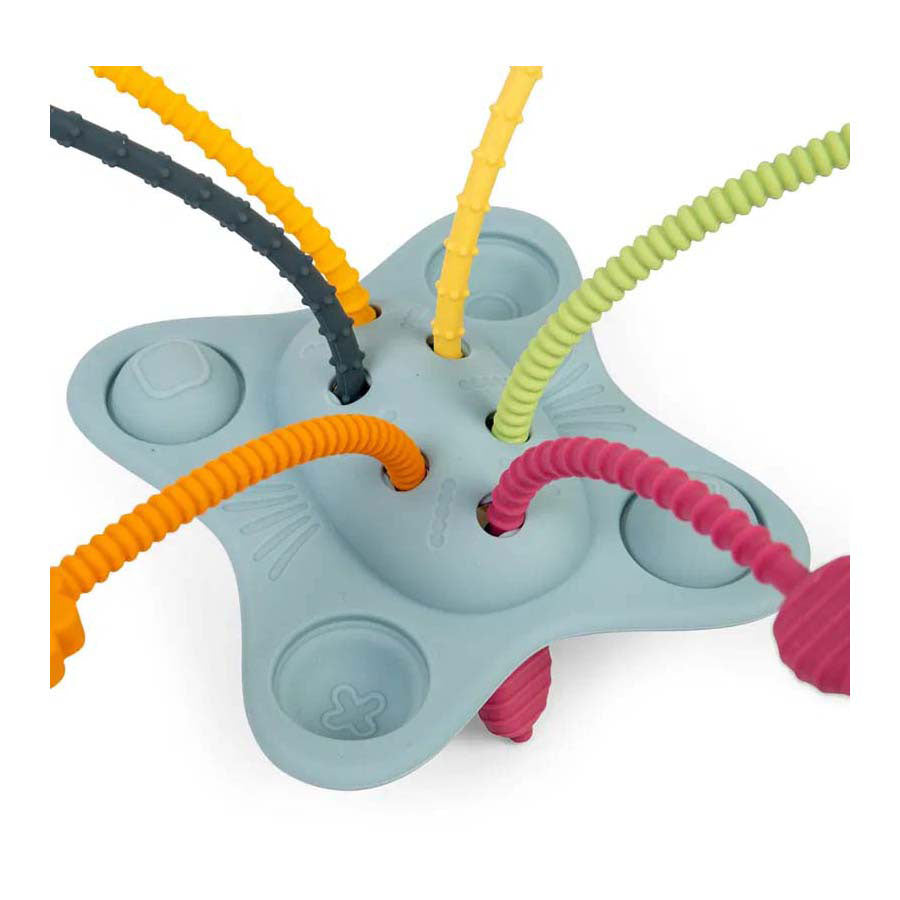 Bigjigs Trek and Push Montessori Toys