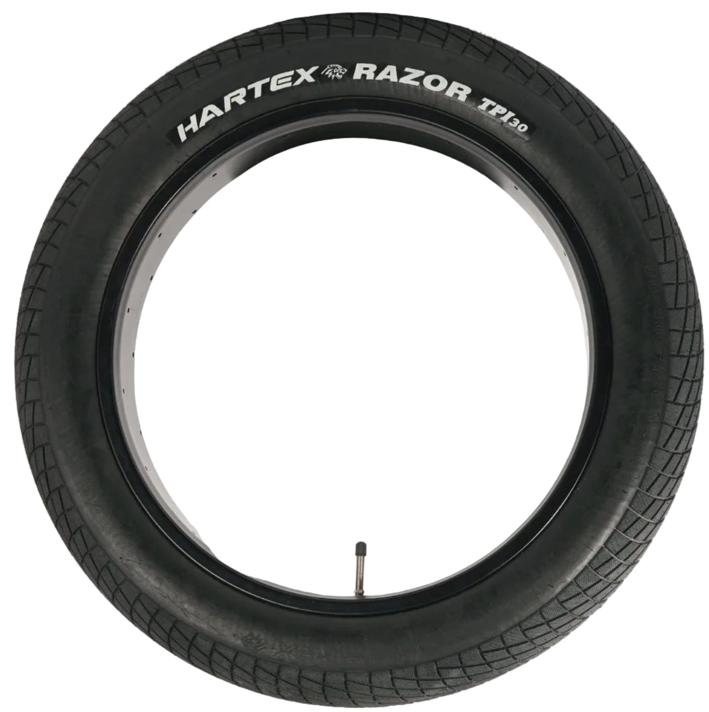 PRUEBA FORKBURAN DEL FATBIQUE NORMAL | 20x4.00 100-406 | negro