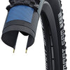 Schwalbe Vouwband Smart Sam DD RaceGuard 29 x 2.60 65-622 mm zwart