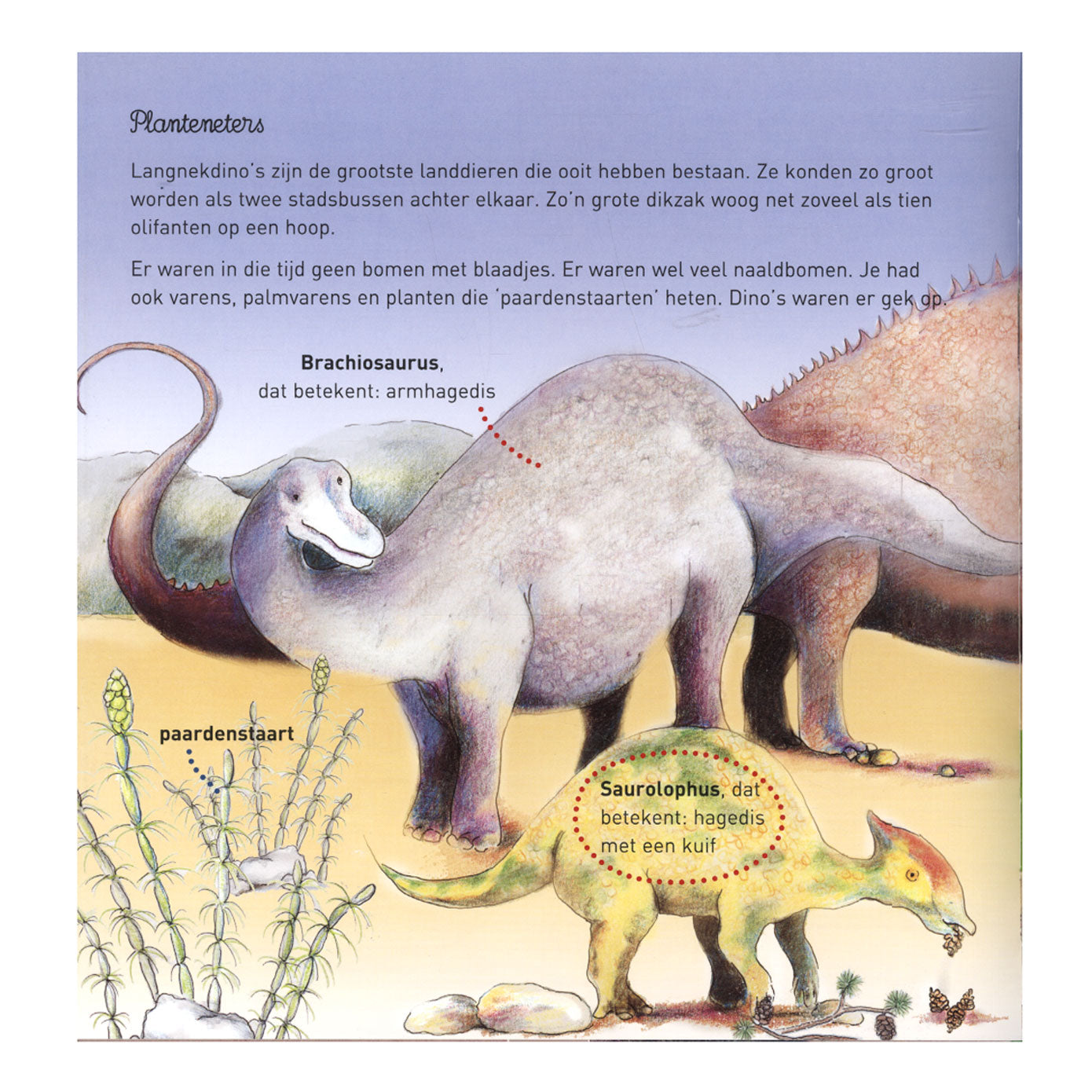 Casa central del libro willewete - dinosaurios