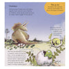 Casa central del libro willewete - dinosaurios