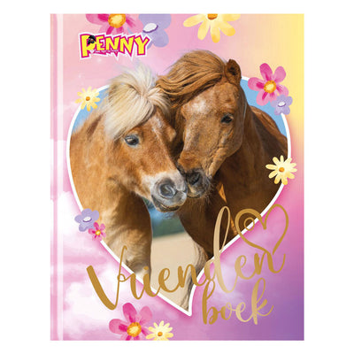Libro central de amigos de penny book house