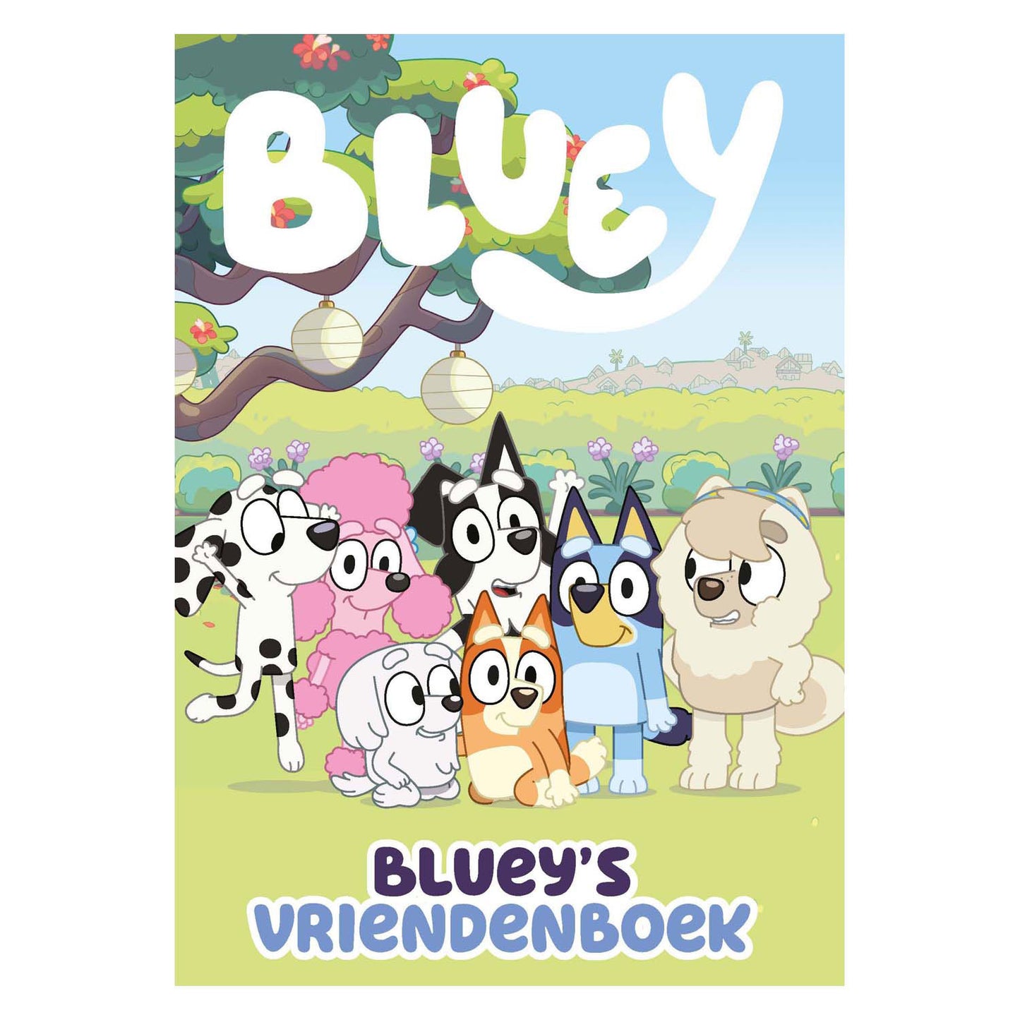 Big balloon bluey's vriendenboek