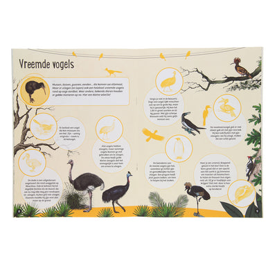 50 hechos 50 pegatinas - pájaros